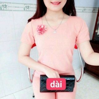 ĐỒ BỘ THUN CÁT HÀN