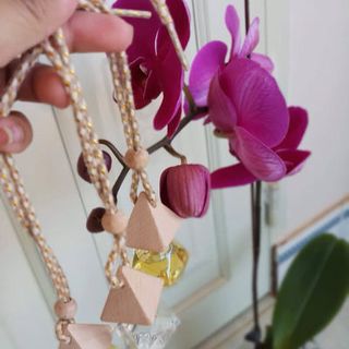 tinh dầu thơm xe thơm phòng