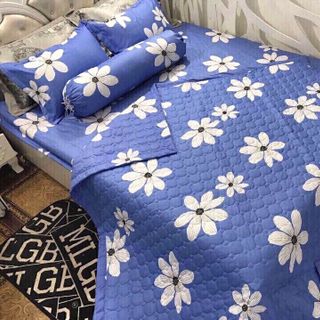 Chuyên sỉ Mền -Drap - Gối