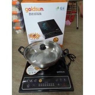 Bếp điện từ Goldsun giá sỉ