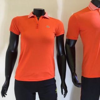 Áo cá sấu nam nữ giá sỉ