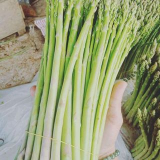 măng tây xanh kim bôi hòa bình