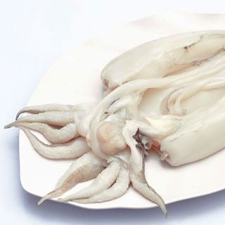 MỰC NANG TƯƠI NINH THUẬN