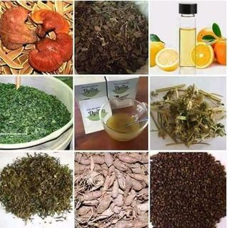 trà thảo mộc giảm cân Vy Tea