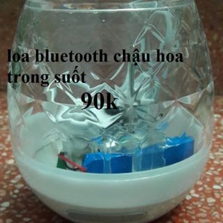 loa Bluetooth kiêm chậu hoa trong suốt cảm ứng theo điệu nhạc giá sỉ