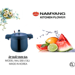 Nồi áp suất HÀN QUỐC 13LIT ĐUN GA giá sỉ