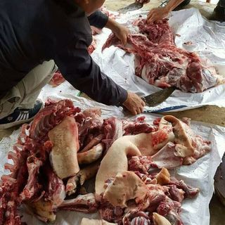 thực phẩm đồng rừng phú thọ