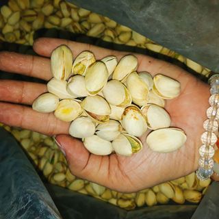 Hạt dẻ cười