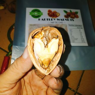 Óc chó Hartley Mỹ