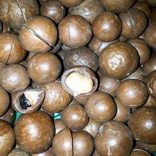 Macca nứt Úc