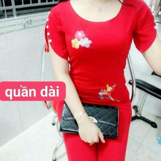ĐỒ BỘ CÁT HÀN HOA