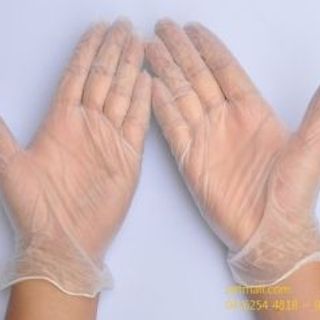 GĂNG TAY VINYL 9 - 12 inches