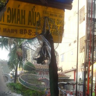 Dây thun dây chằng đồ dây thun cột đồ