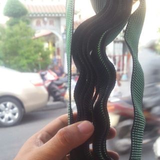 Dây thun dây chằng đồ dây thun cột đồ
