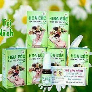 hoa cuc dac tri hoi nach giá sỉ