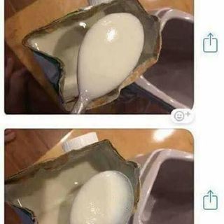 Máy làm sữa chua 3 nút bấm