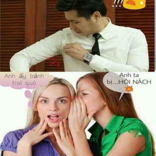 hoa cúc dac tri hoi nach