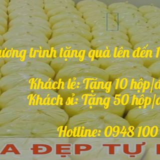 Tinh bột nghệ giá sỉ tặng sữa tươi giá sỉ