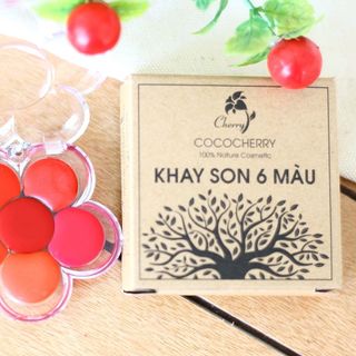 khay son 6 màu cho bà bầu son môi cococherry mộc an