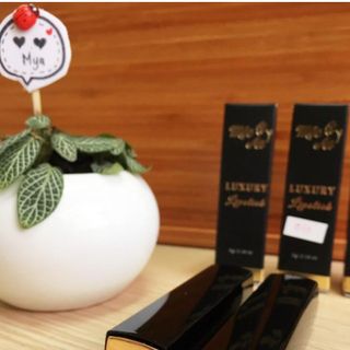 Son môi cho bà bầu Luxury Cococherry Mộc An