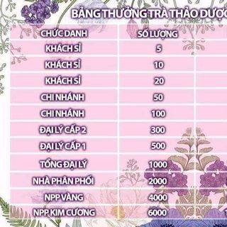Tuyển sỉ - chi nhánh và đại lý trên toàn quốc