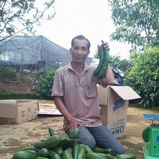 thu mua trai bơ 034 lượng lớncơ sở dậu loan