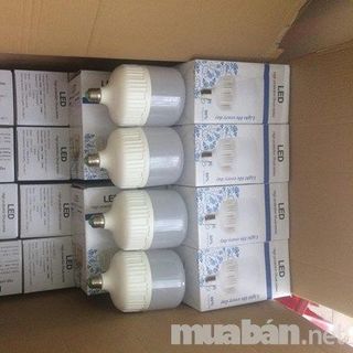 Bóng led bulb trụ