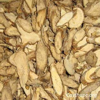 xạ đen hòa bình chính gốc