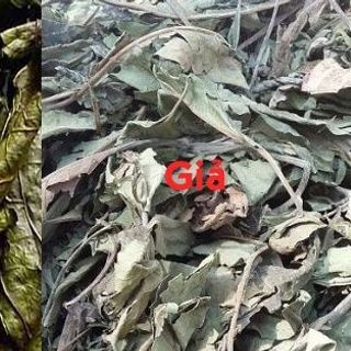 xạ đen hòa bình chính gốc