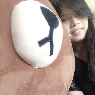 gấu Brown đủ kích cở