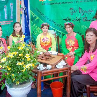 Trà Thái Nguyên Chính Gốc