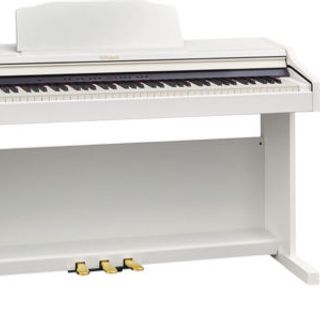 Roland RP 501r