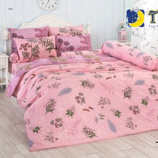 Chăn ga gối Thái Lan - TOTO - SET 5 CÁI 18mx2m