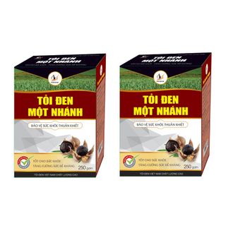 TỎI ĐEN MỘT NHÁNH