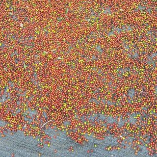 Sản phâm tiêu sạch đắk lắk uy tín nhất tp hcm