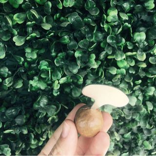 Đồ khui hạt mắc ca