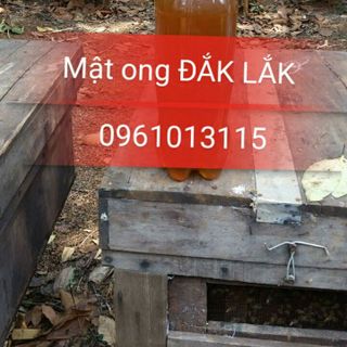 Mật ong hoa cà phê đắk lắk đảm bảo chất lượng tại tp hcm