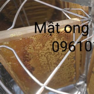 Mật ong hoa cà phê đắk lắk đảm bảo chất lượng tại tp hcm