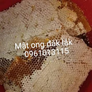 Mật ong hoa cà phê nguyên chất đắk lắk