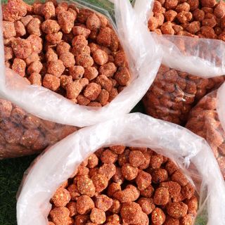 Me xí muội chùm ruột - Thảo Đà Lạt