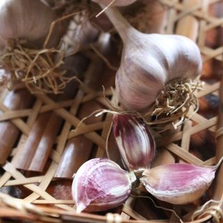 Tỏi tím Đà Lạt - Thảo Đà Lạt