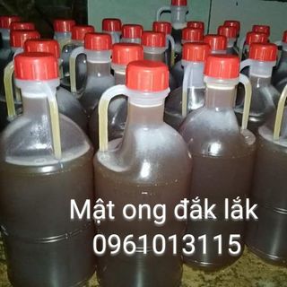 Mật ong hoa cà phê nguyên chất đảm bảo chất lượng tại tây nguyên