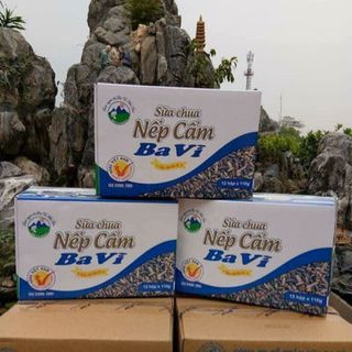 Sữa chua nếp cẩm giá sỉ