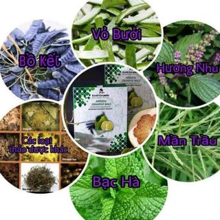 túi lọc gội đầu thiên nhiên thảo dược Reél Beaute