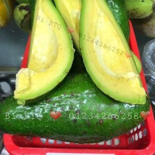 TINH DẦU BƠ
