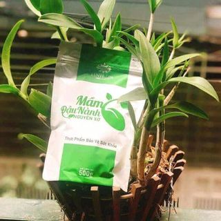 mầm đậu nành nguyên xơ 100 Thiên nhiên