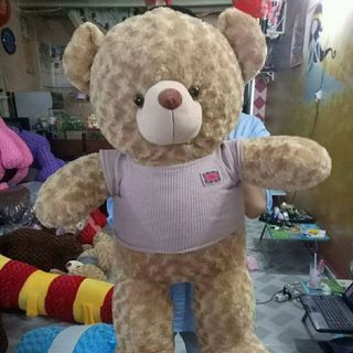 Gấu Tedy