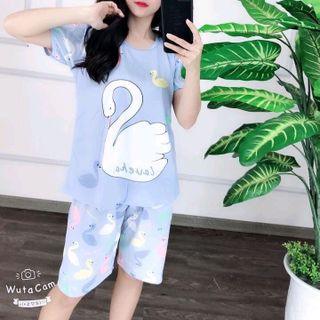 bộ thun QC