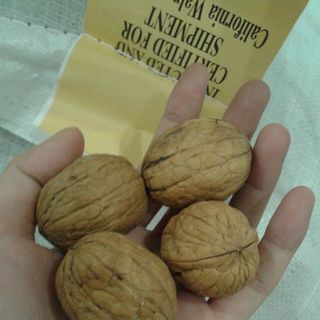 Óc chó Chandler Mỹ
