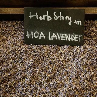 Nụ Hoa Lavender Khô giá sỉ